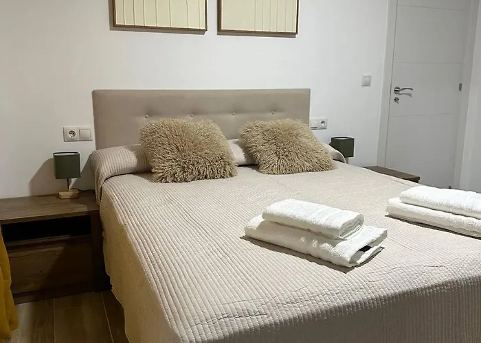 Ollería Alicante